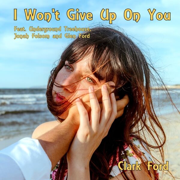 Cover art for I Won't Give up on You